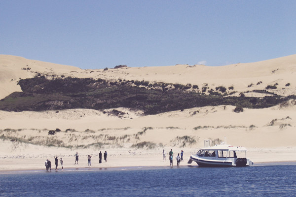 Hokianga & Waipoua