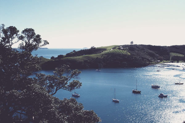 Waiheke Island